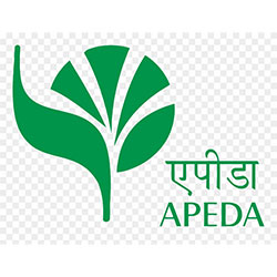 APEDA