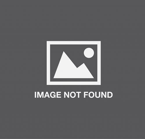 NutPure Sprouted Multigrain Mix | 100% Natural & complete Family Multigrain Health Mix | With The Goodness of 15 Superfoods (Nuts, Millets/Cereals & Pulses)