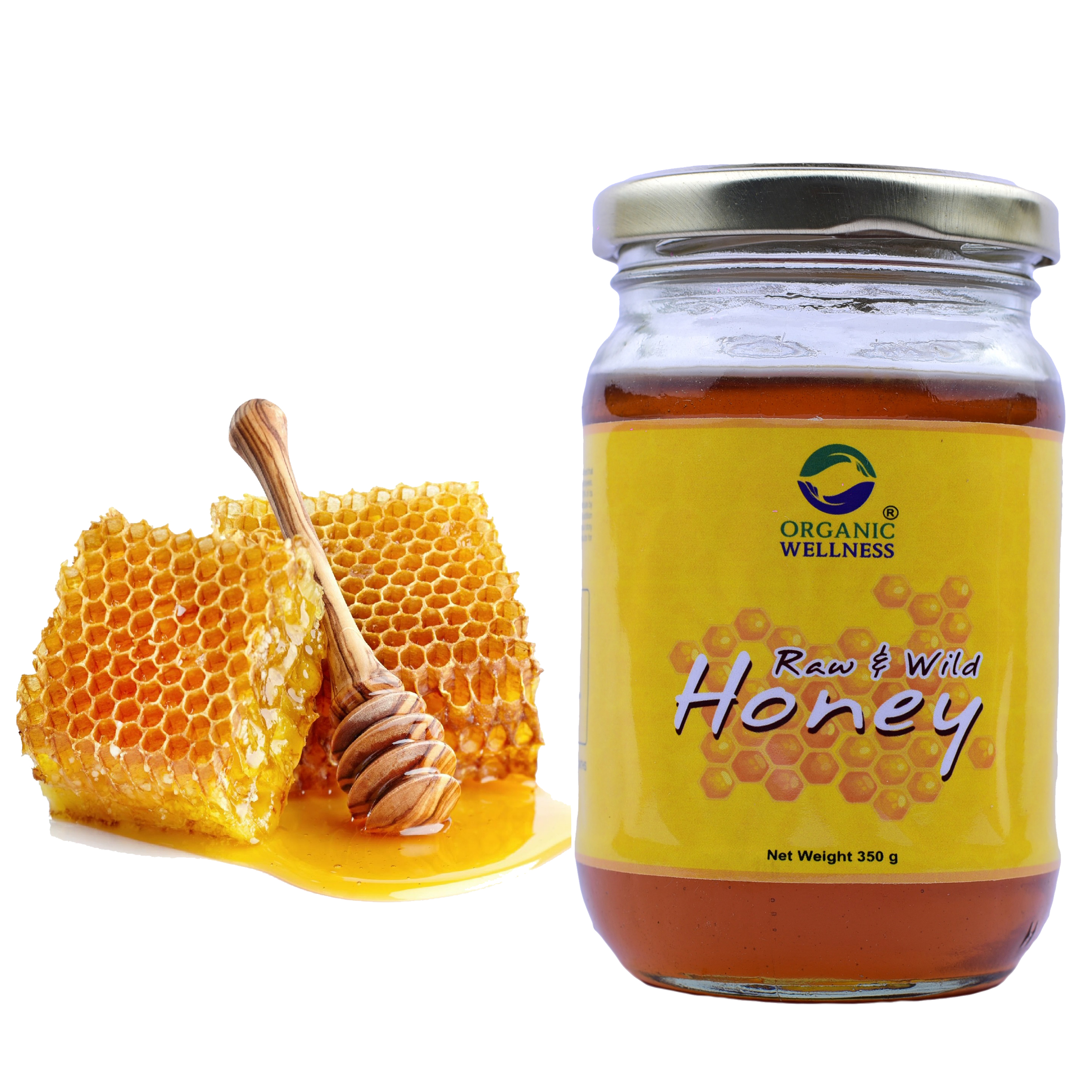 Organic Wellness Raw Honey Wild Forest 350 Gram Bottle