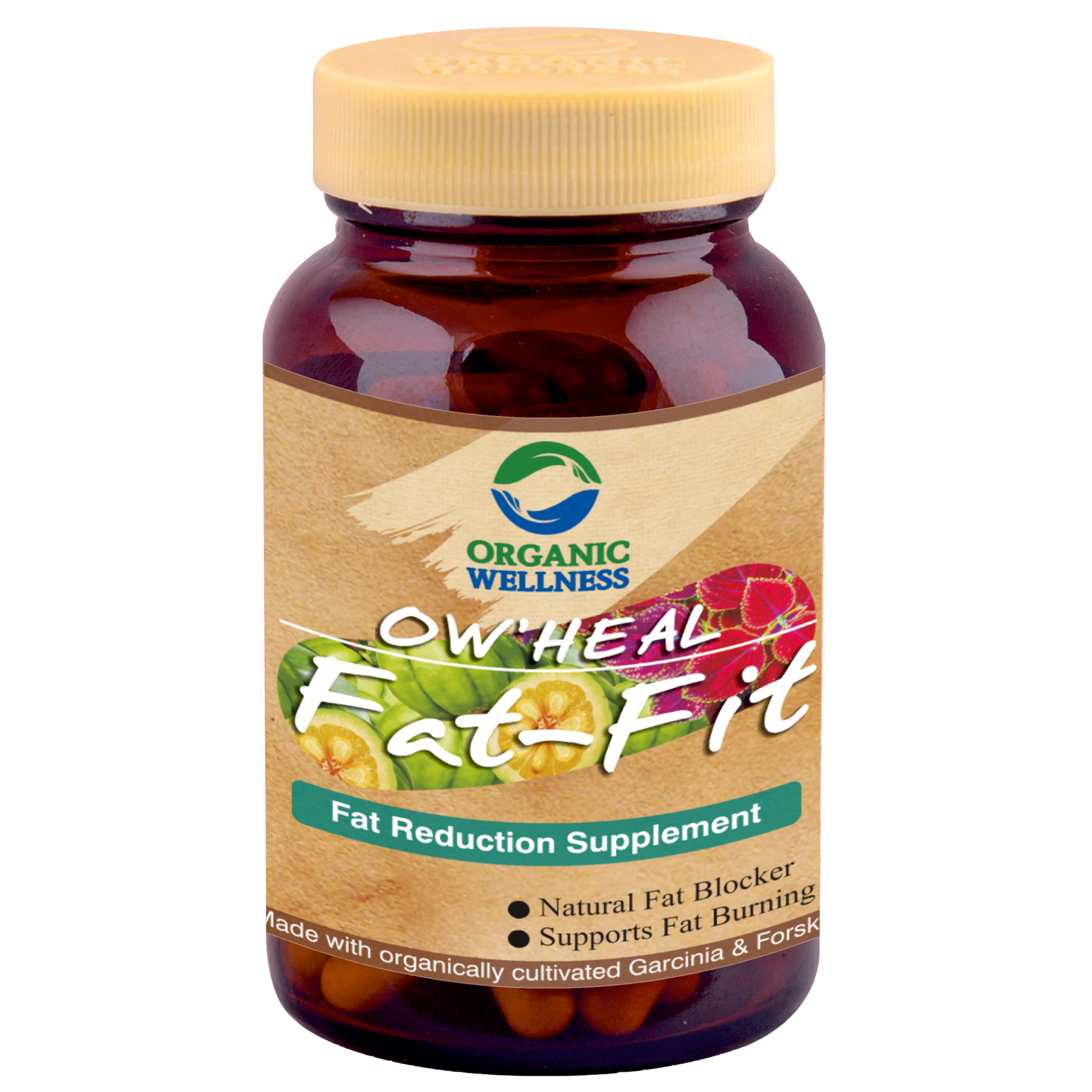 Organic Wellness Fat Fit 90 Capsules Bottle