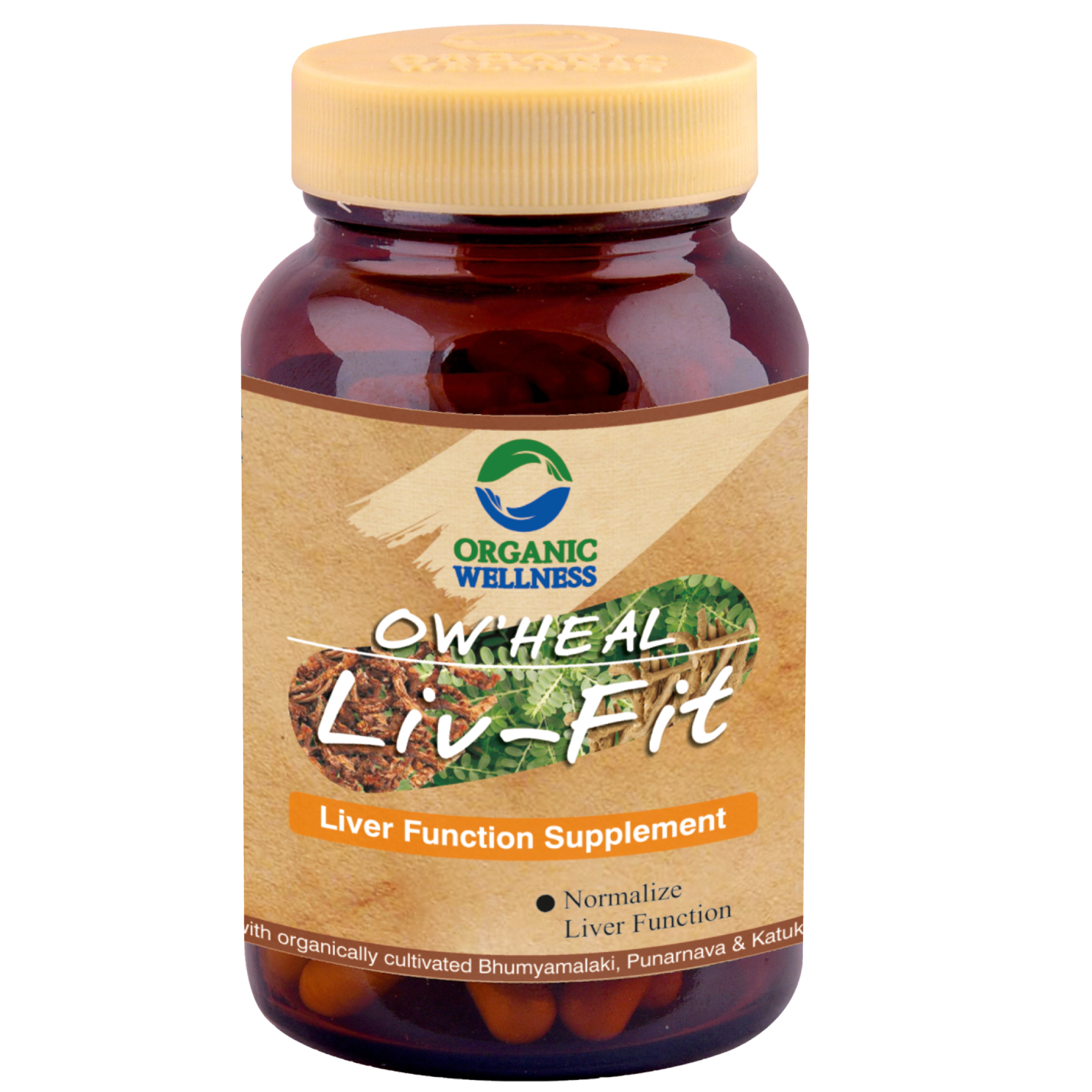 Organic Wellness Liv Fit 90 Capsules Bottle