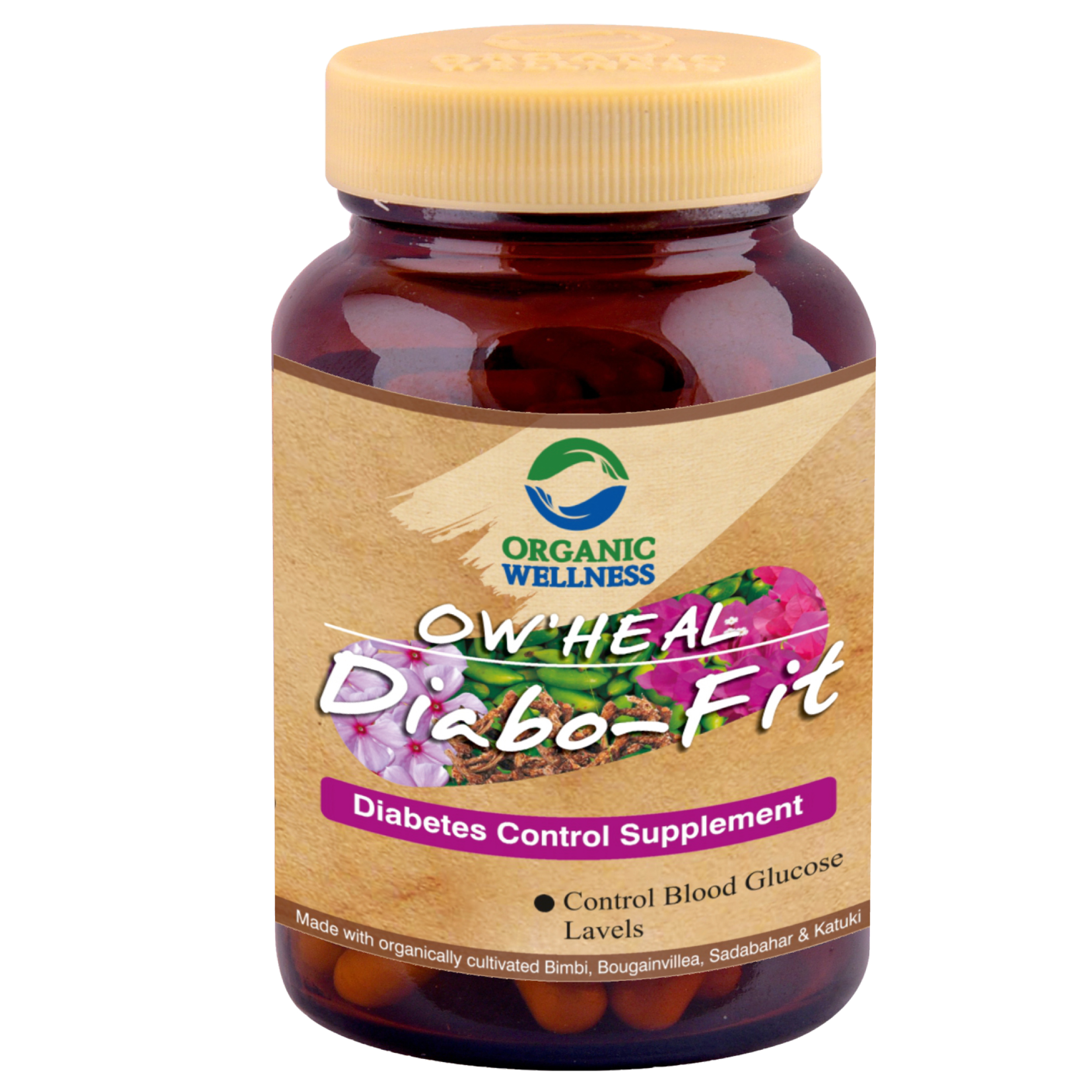 Organic Wellness Diabo Fit 90 Capsules Bottle
