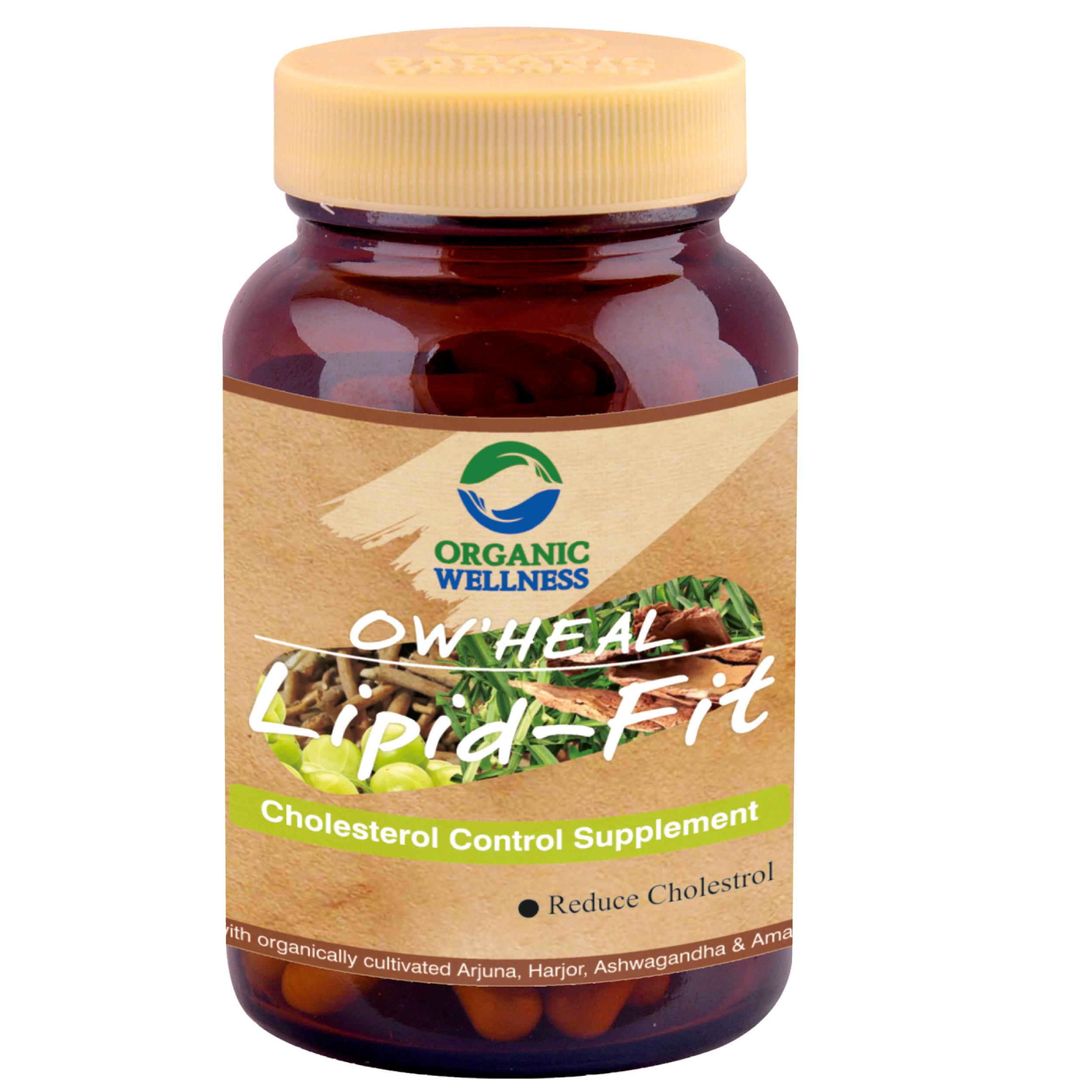 Organic Wellness Lipid Fit 90 Capsules Bottle