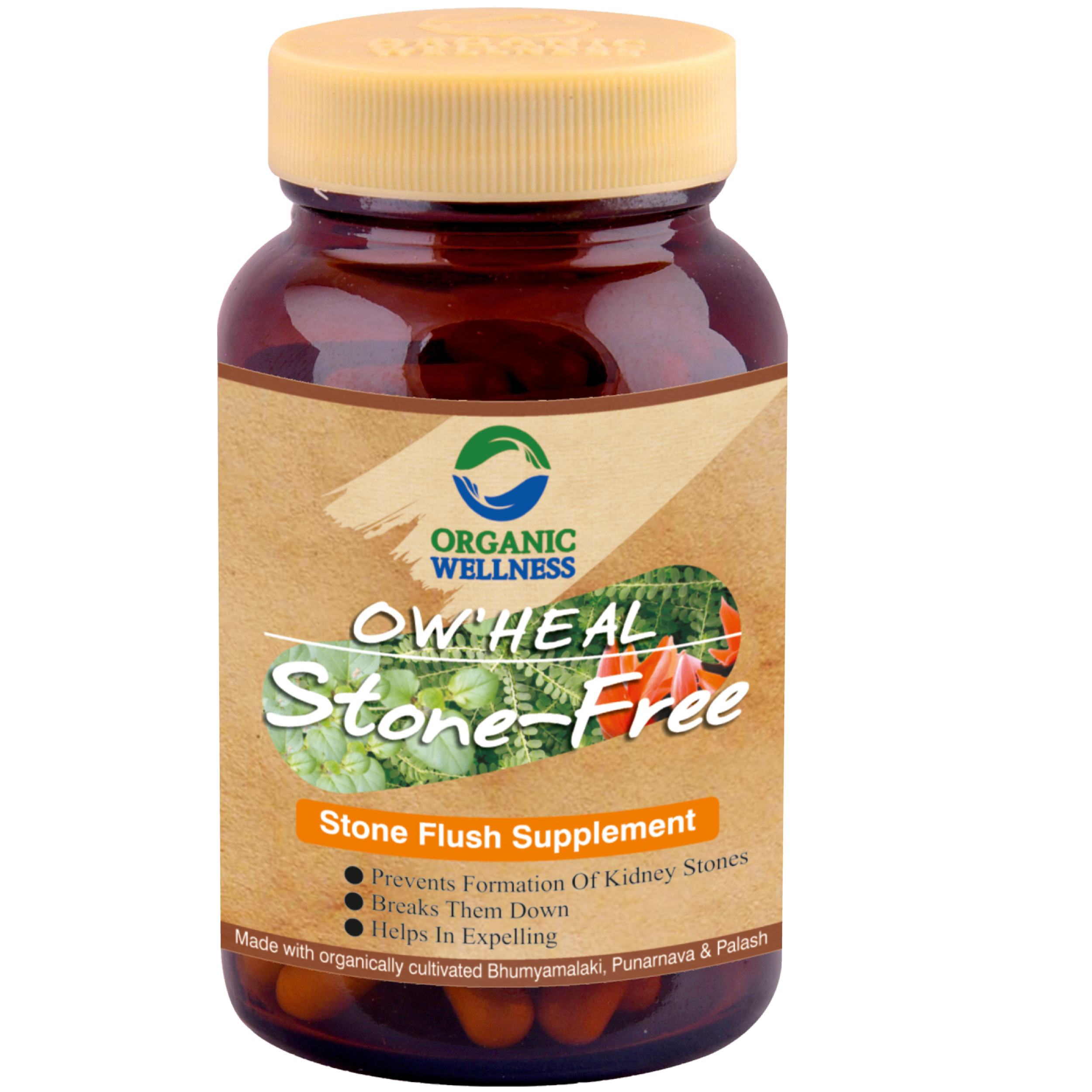 Organic Wellness Stone Free 90 Capsules Bottle