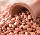 Groundnut
