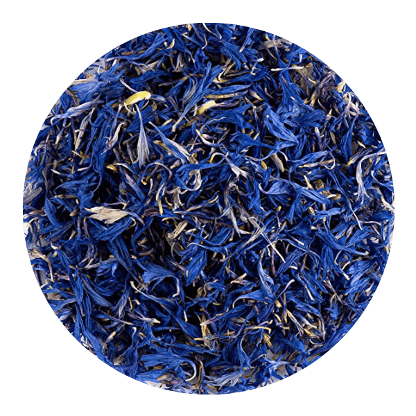 Dry Blue Cornflower (Centaurea cyanus)