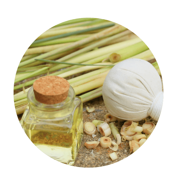 Lemongrass Oil (Cymbopogon citratus Oil)