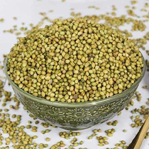 ORGANIC DHANA (CORIANDER)