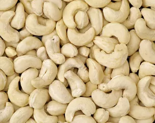 Cashew Nut