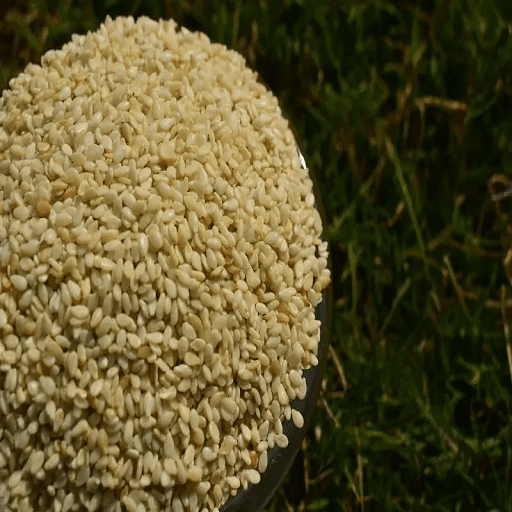 Organic Sesame Seeds
