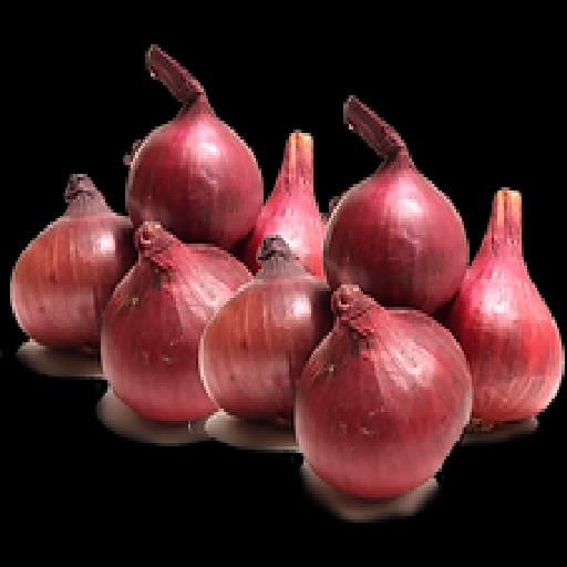 Organic Onion