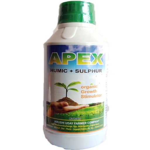 APEX