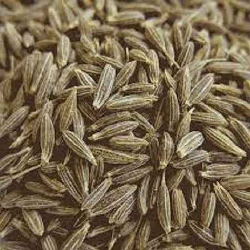 Cumin Seeds