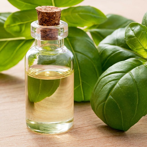 Basil Oil