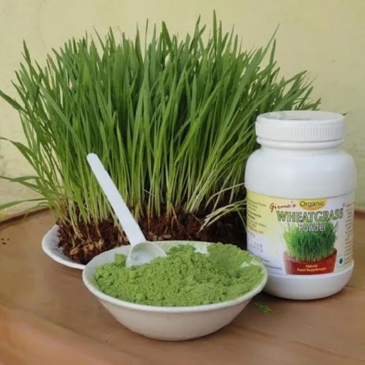 Organic Wheat Grass Powder