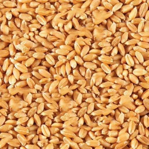 ORGANIC WHEAT