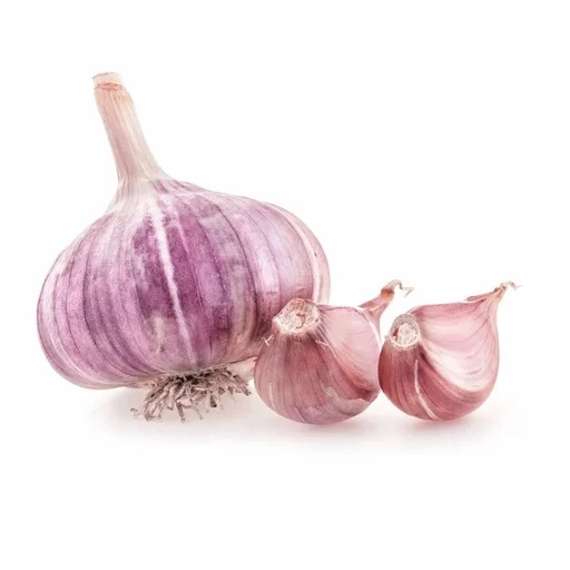 Purple Fresh Garlic