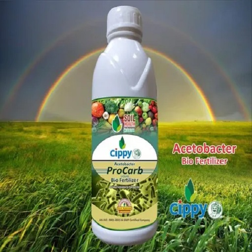 Acetobacter Liquid Biofertilizer