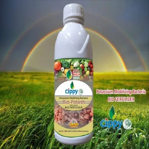 Potassium Mobilizing Bacteria Liquid Bio Fertilizer