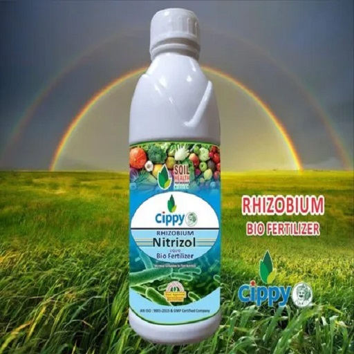 Rhizobium Biofertilizer Liquid Based