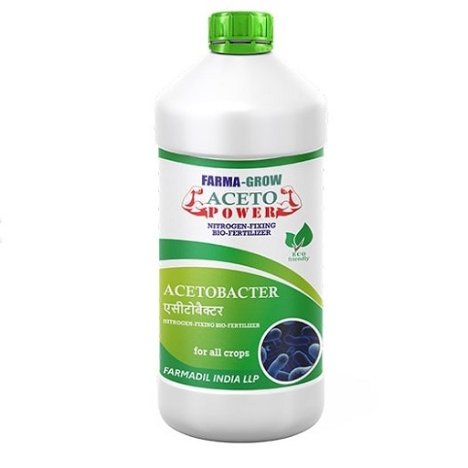 Acetobacter Acetobacter Bio Fertilizer