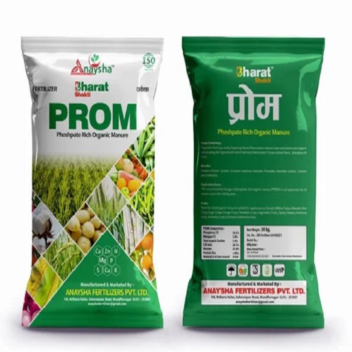 Dharti Kuber (Prom)