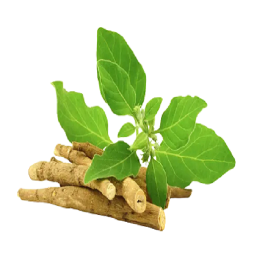 ORGANIC ASHWAGANDHA