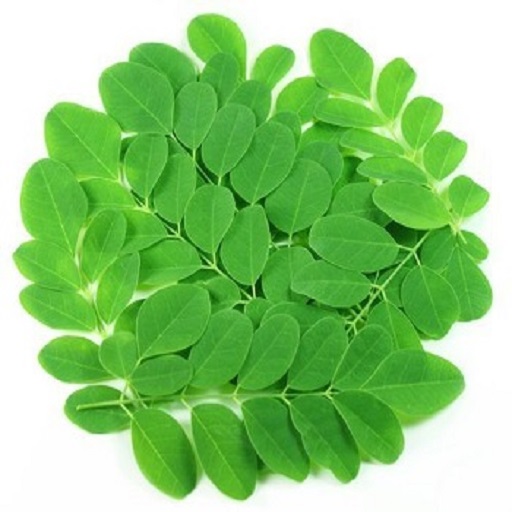 ORGANIC MORINGA LEAVES