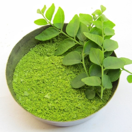 Organic Curry Leaves Powder