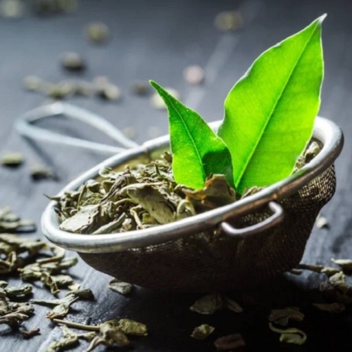 Organic Green Tea Extract