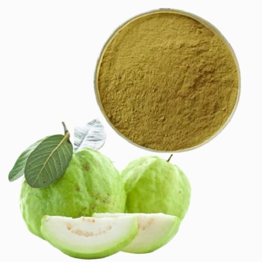 Organic Guava Extract
