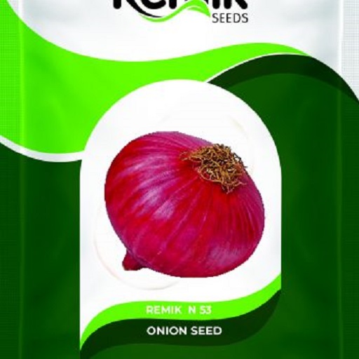 Organic Onion  N-53 500GM