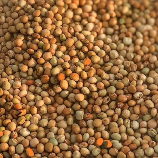 Organic Pigeon Pea (Tur/Arhar)