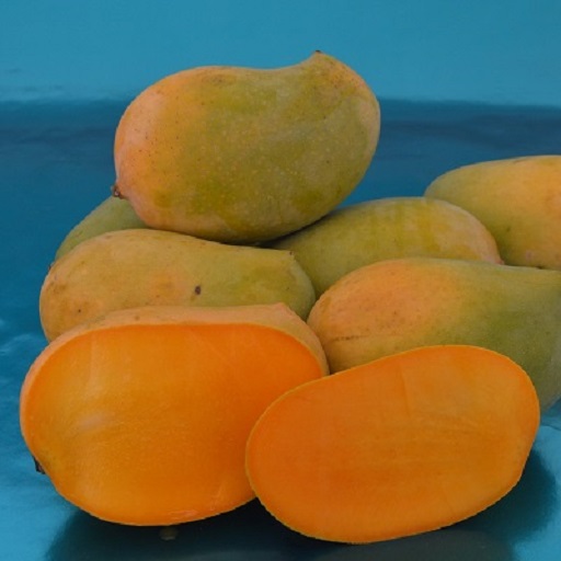 Organic Kesar Mango