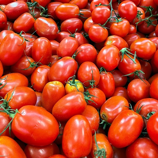Organic Tomato