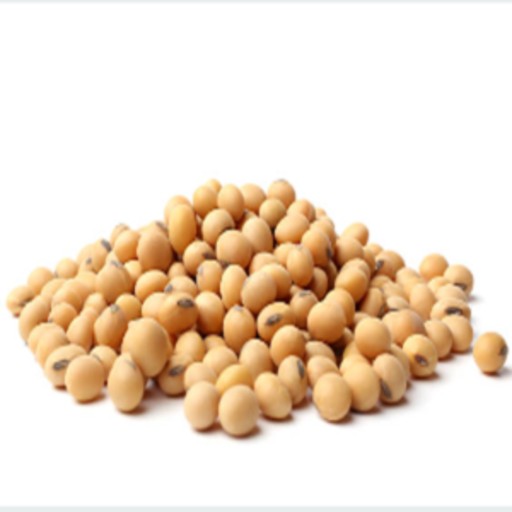 ORGANIC SOYABEAN