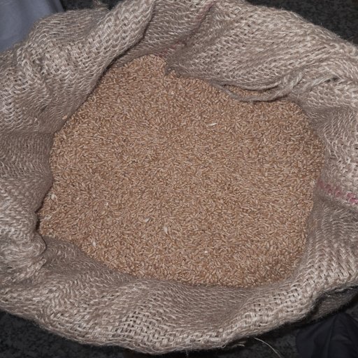 Wheat