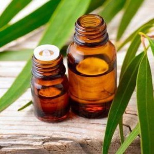 ORGANIC EUCALYPTUS OIL