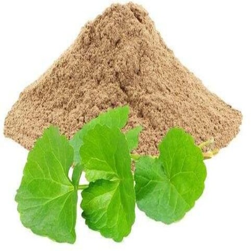 ORGANIC BRAHMI POWDER