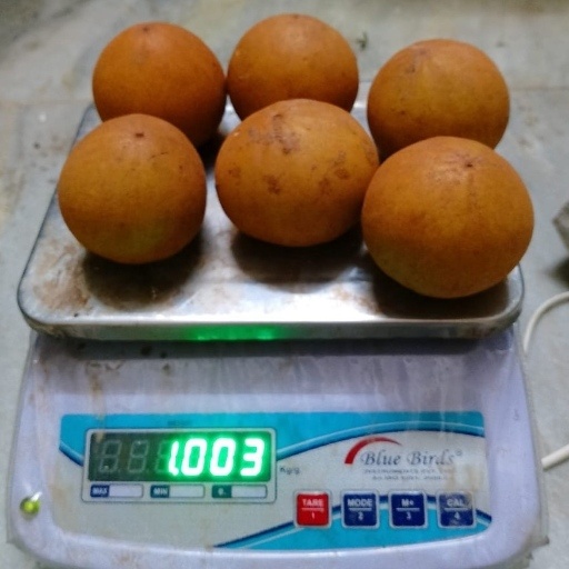 sapota (chikoo)