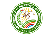 MKM JUNAGADH SPNF PRODUCER COMPANY LIMITED