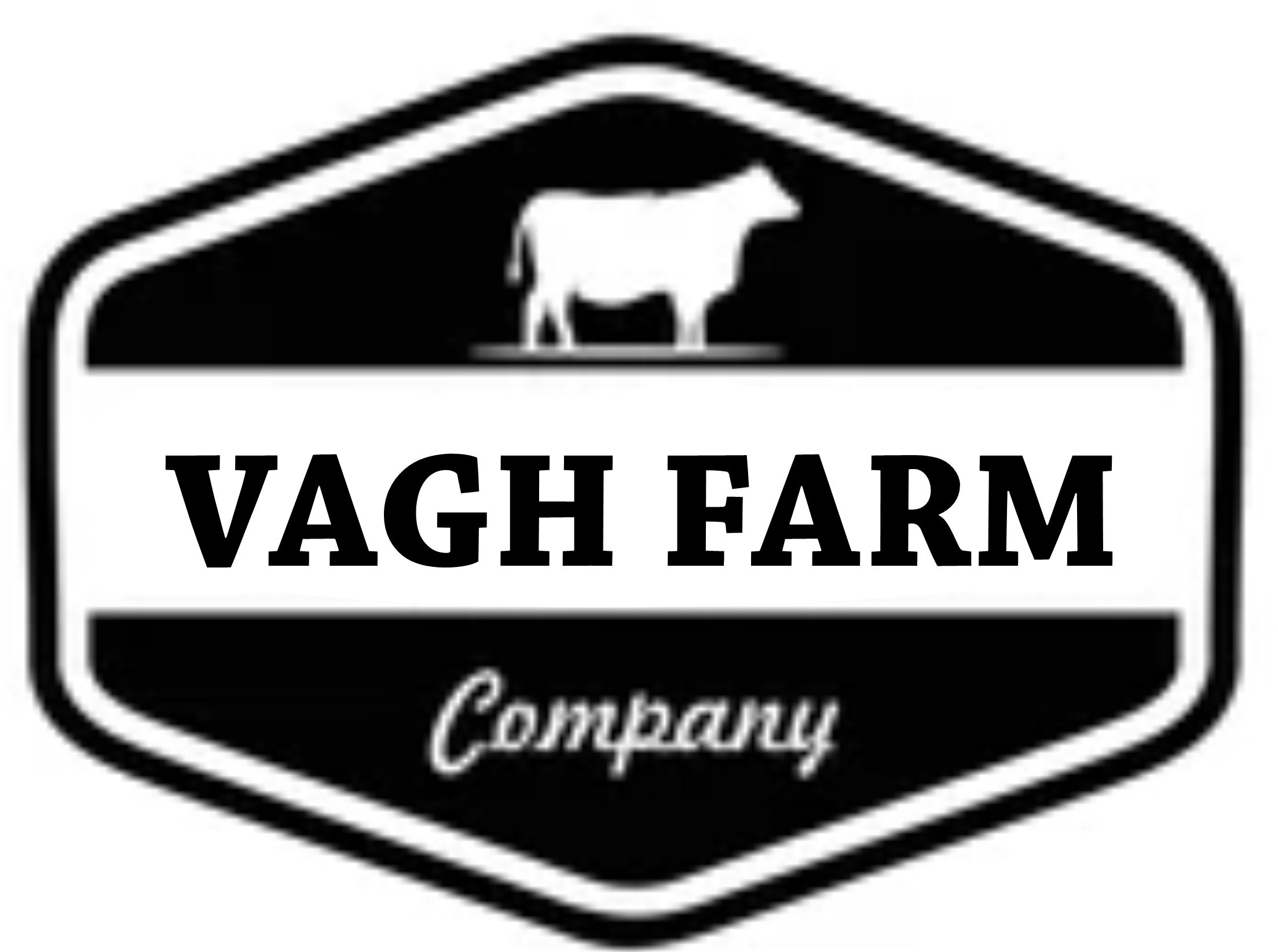 Hirabhai bhagvanbhai Vagh