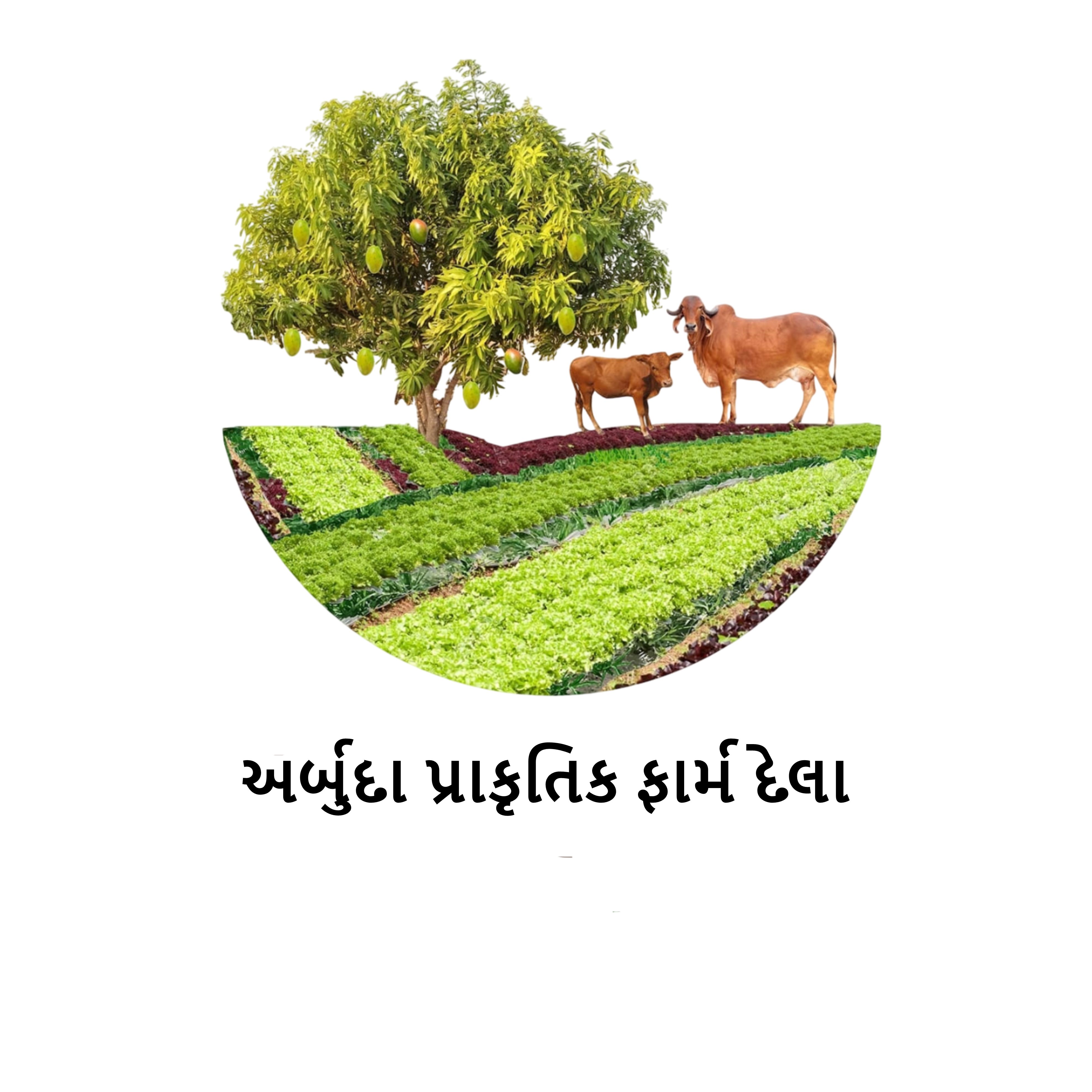 હર્ષદ ભાઈ એમ ચૌધરી