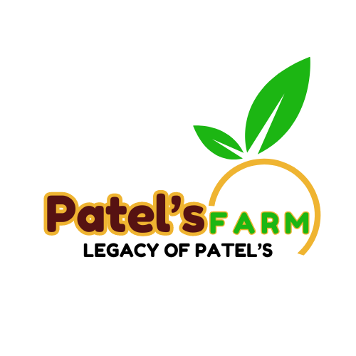 Maheshkumar Nagjibhai Patel