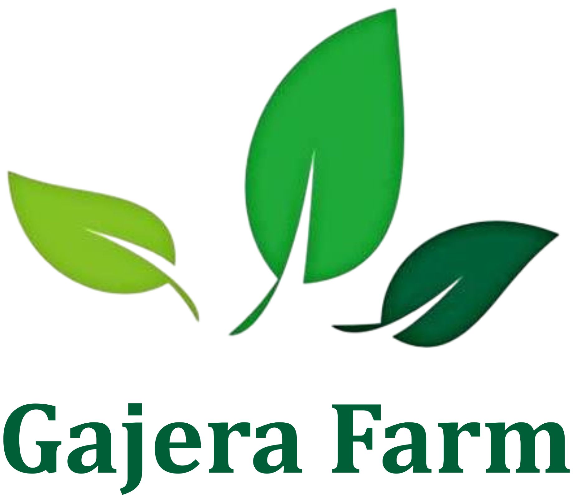 Gajera Farm logo