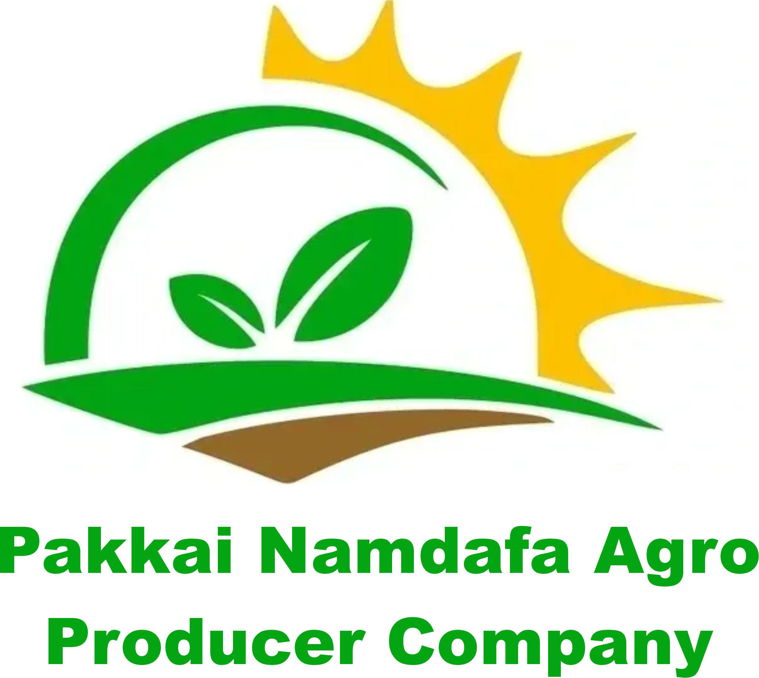 Pakkai Namdafa Agro  Producer Company logo