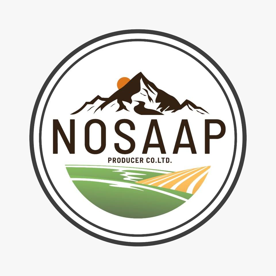 Nosaap logo
