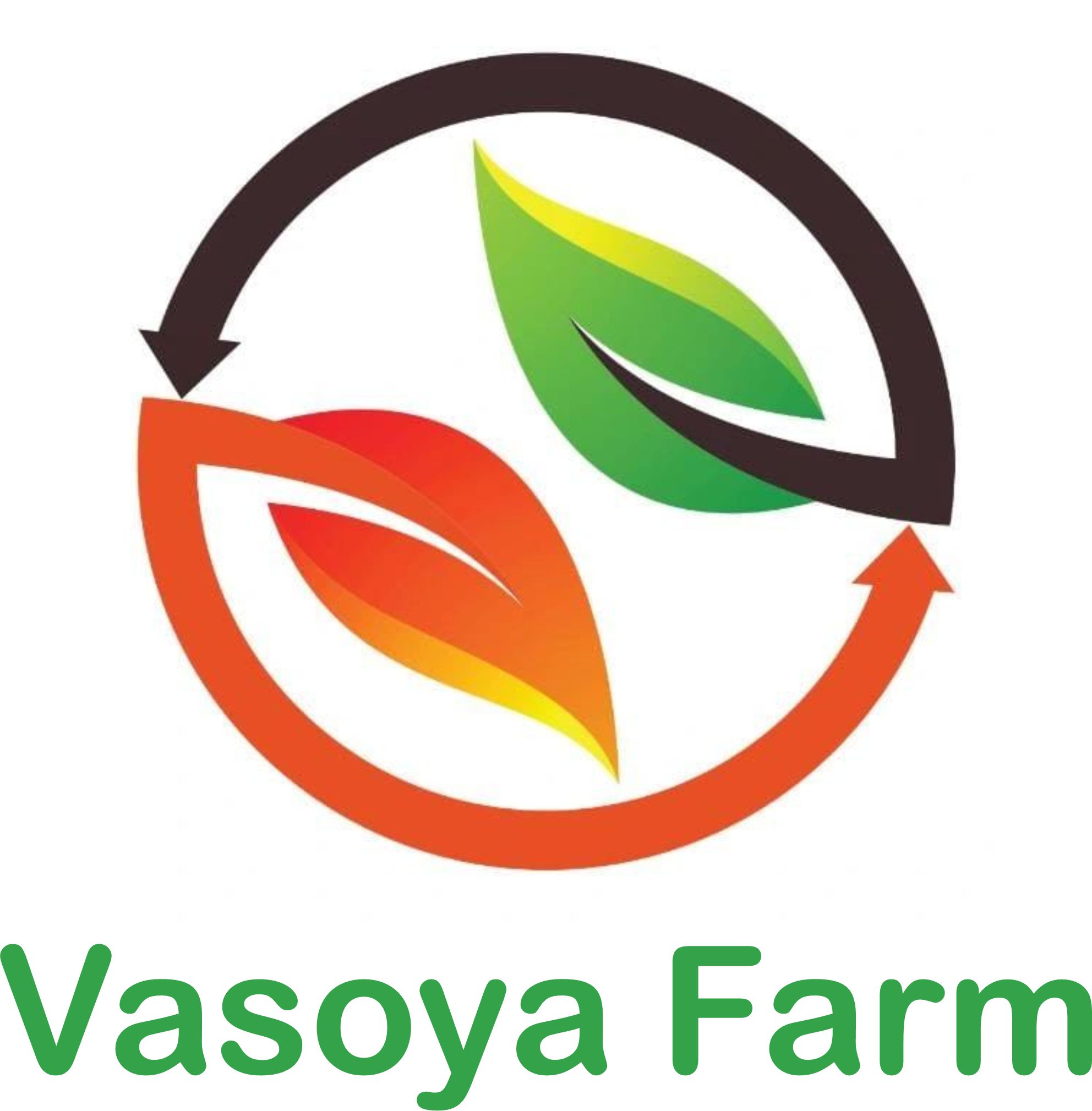 Vasoya Farm logo