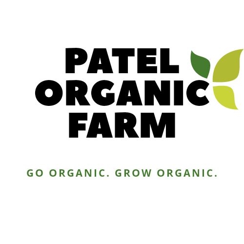 PATEL VISHNUBHAI VITTHALBHAI