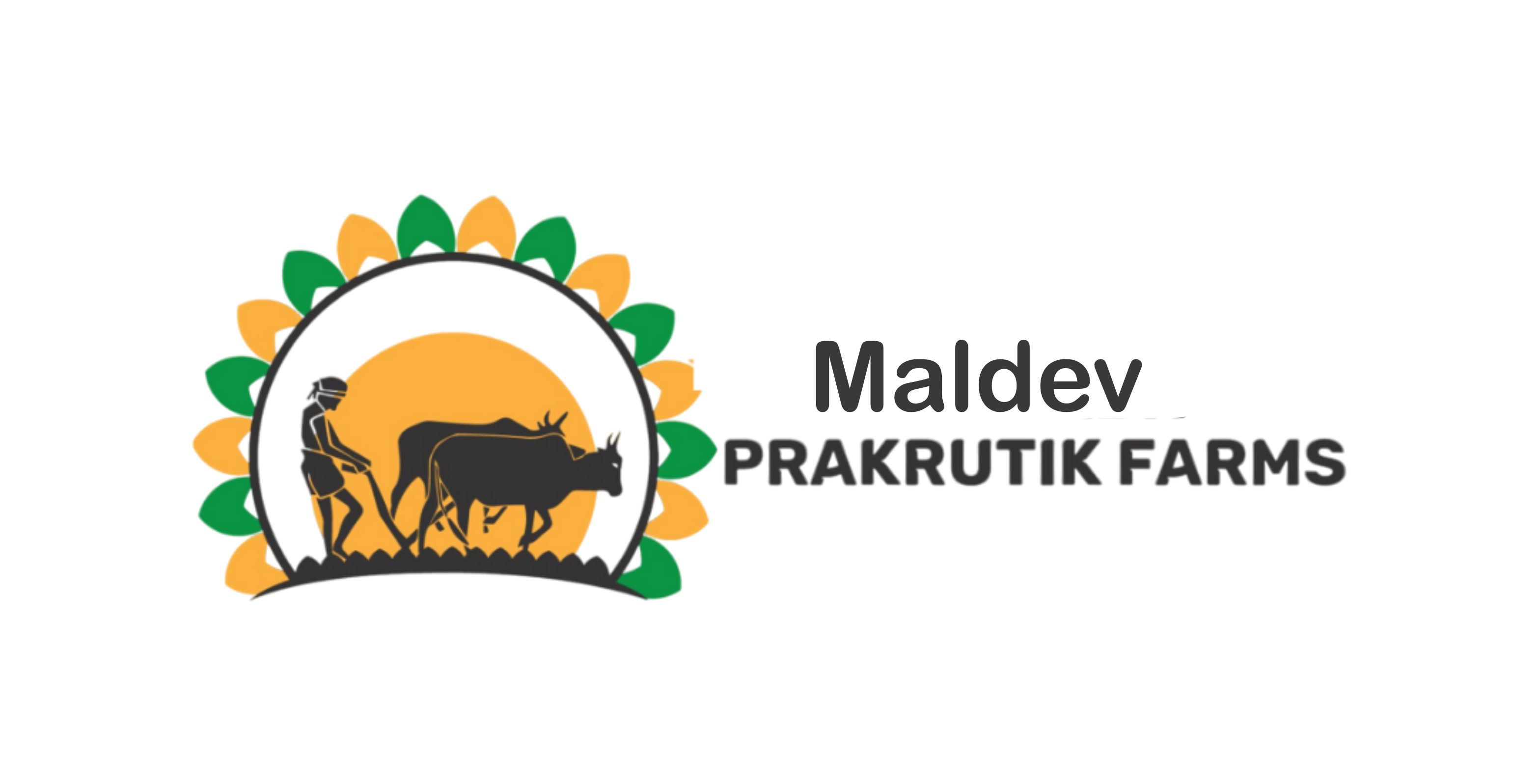 manishbhai dayabhai kacha